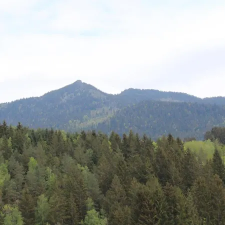 Schwarz Mit Terrasse Διαμέρισμα Lohberg